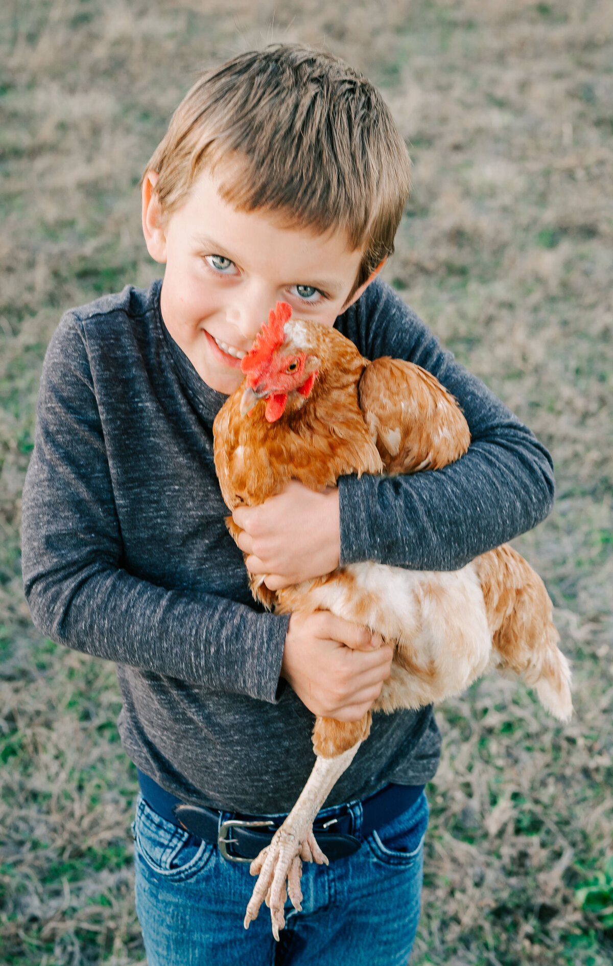 chicken