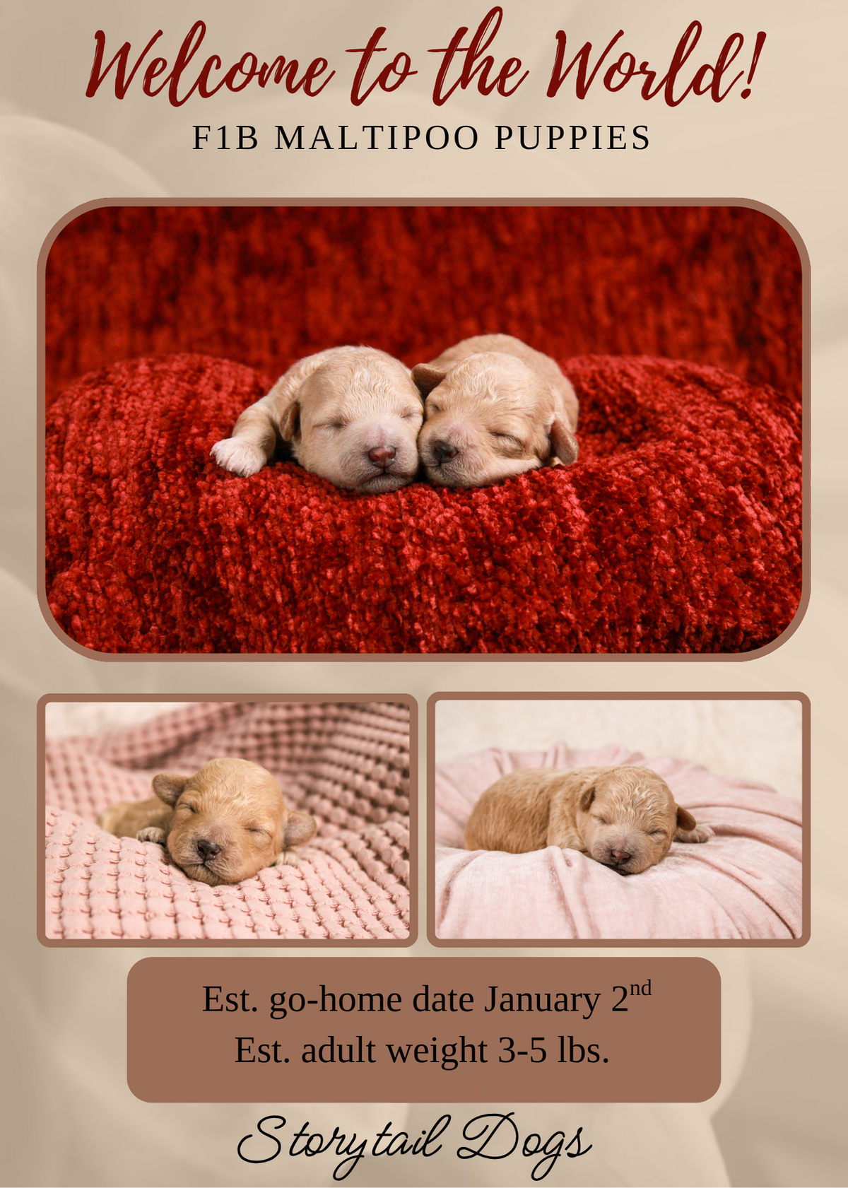 Welcome to the World Litter Announcement (1)