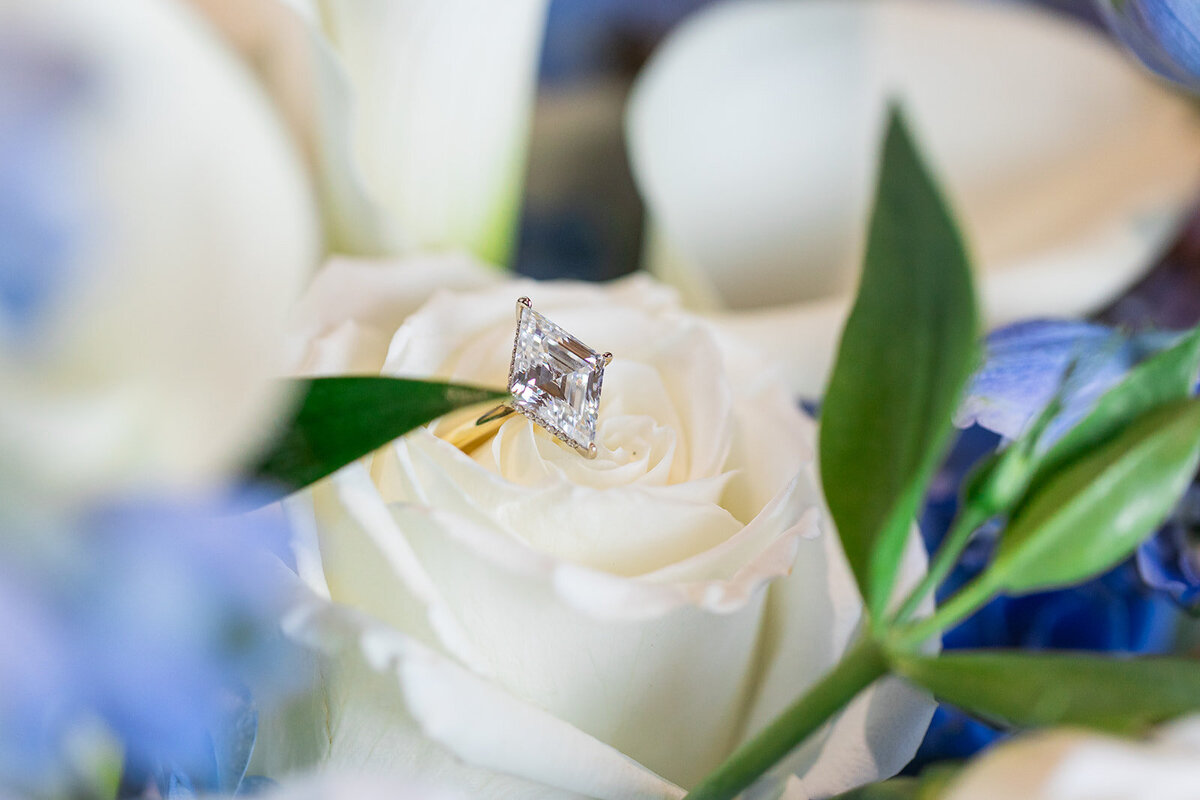 Rebecca and Dannt_Sneak Peeks-6329