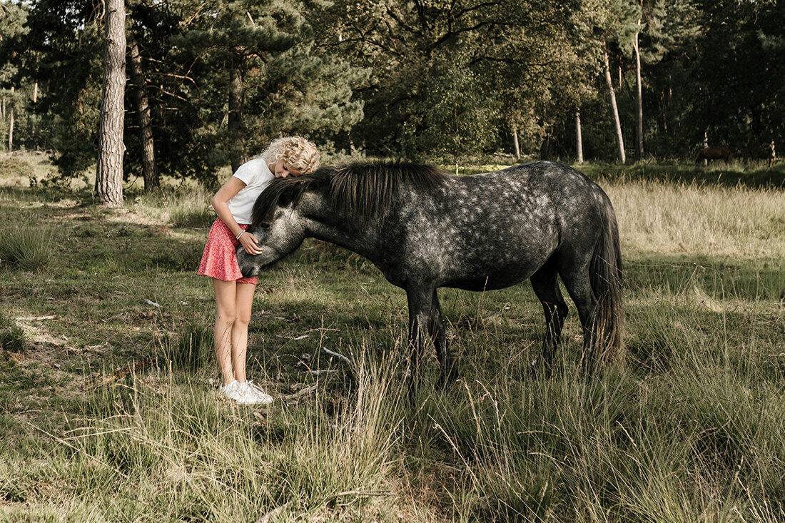 FonkelFabriek portret foto paard