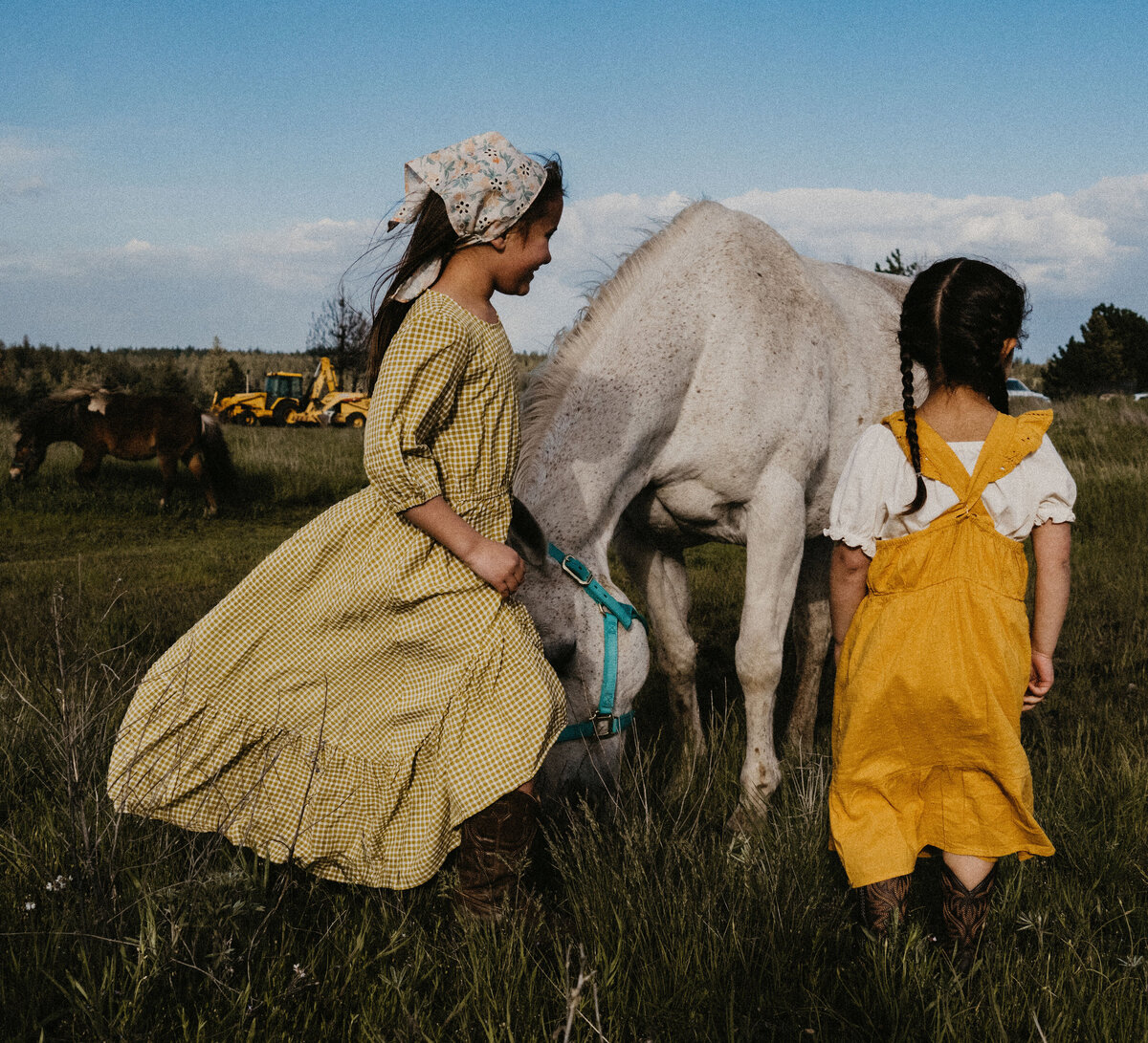 film-inspired-farm-family-photography