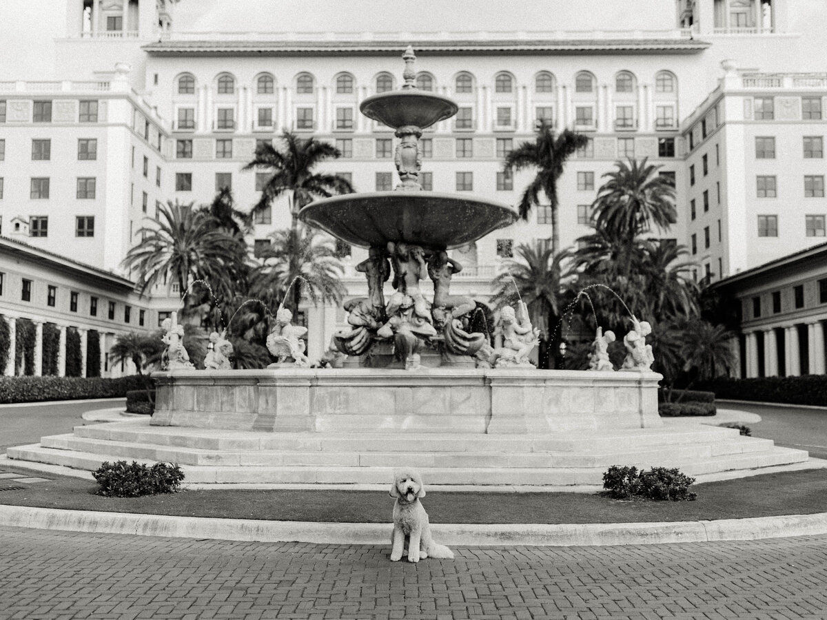 Jon & Angie - Previews - The Breakers, Palm Beach, Florida - Chrissy O'Neill & Co. - South Florida Wedding Photographer-34-Edit