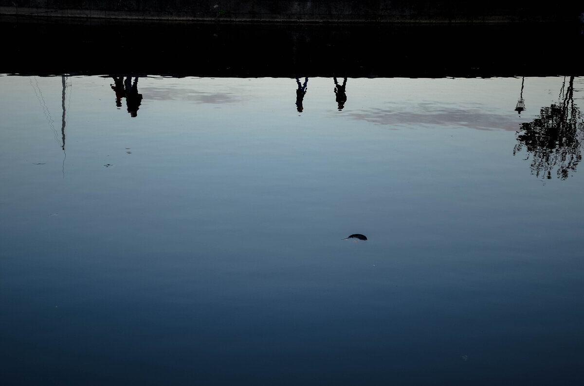 Reflection-1