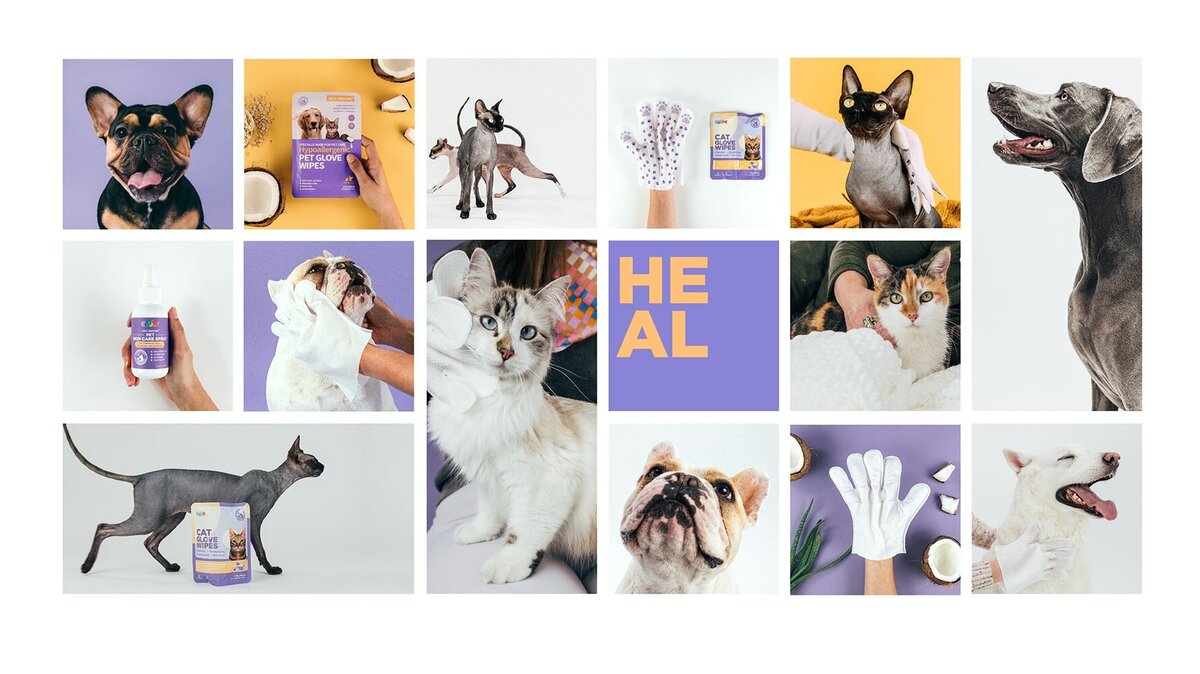 hicc_moodboard-min