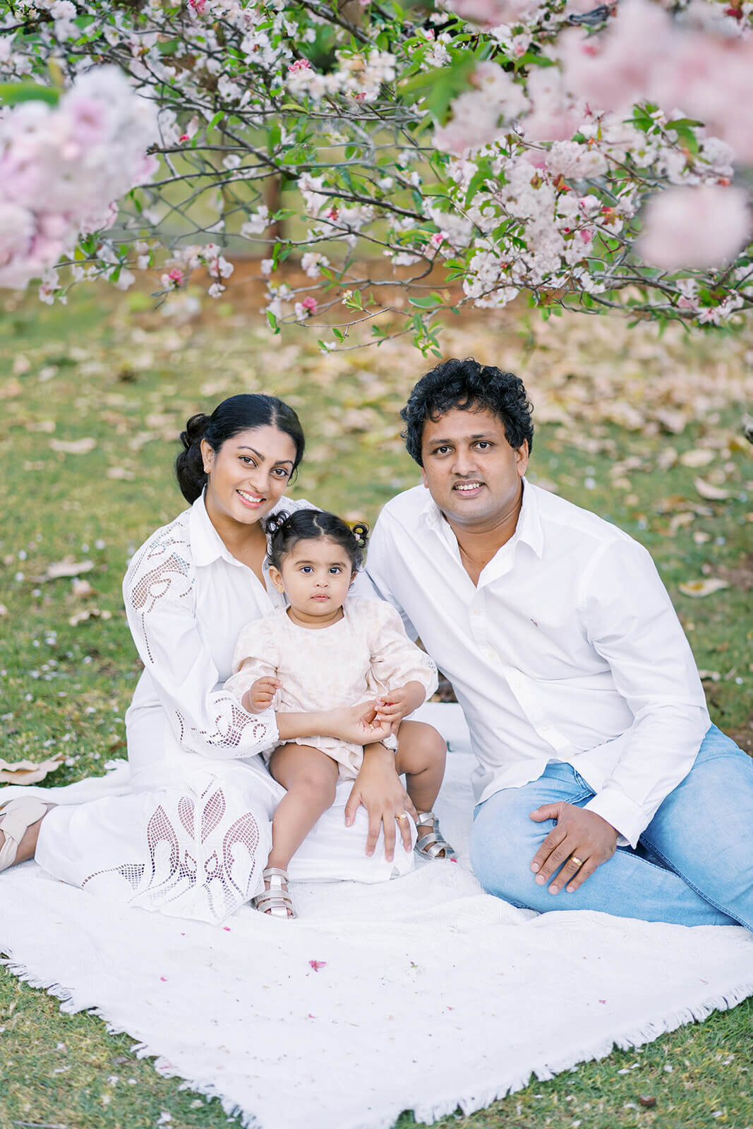 In a sea of cherry blossoms, we cherish our baby's milestone in Gold Coast park celebrating one year birthday.