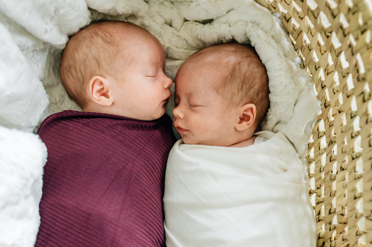 pittsburgh-newborn-photographer-31