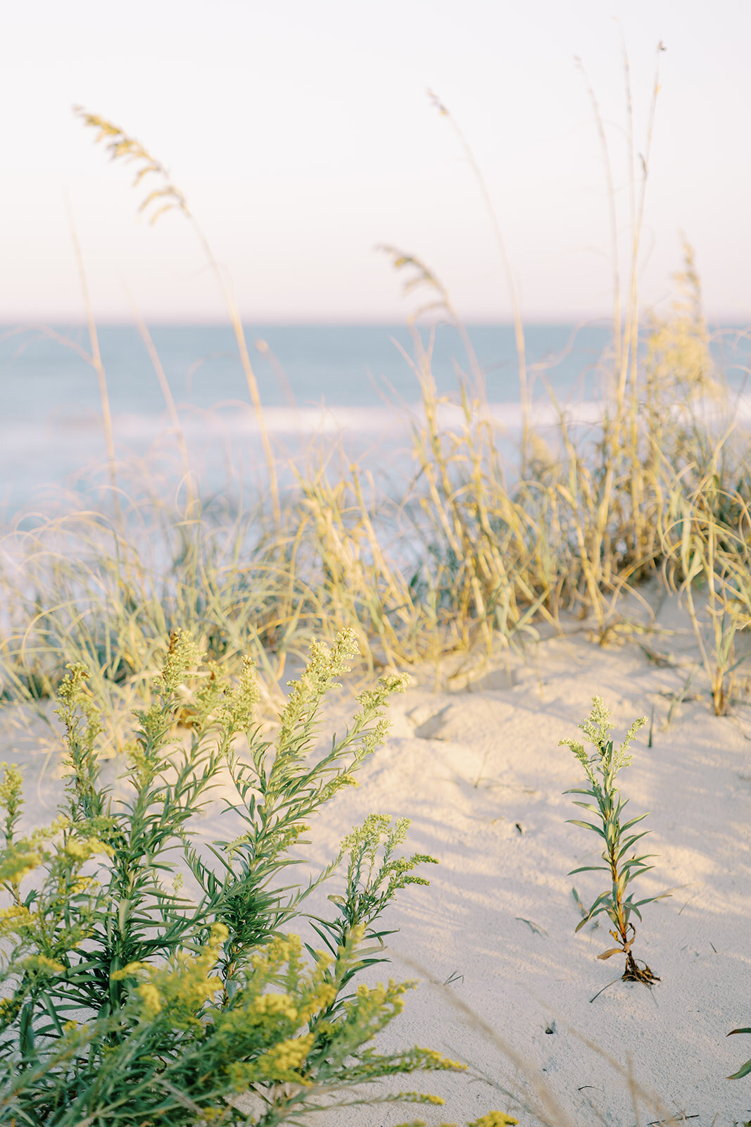 Shannon + Noah _ Preview-161