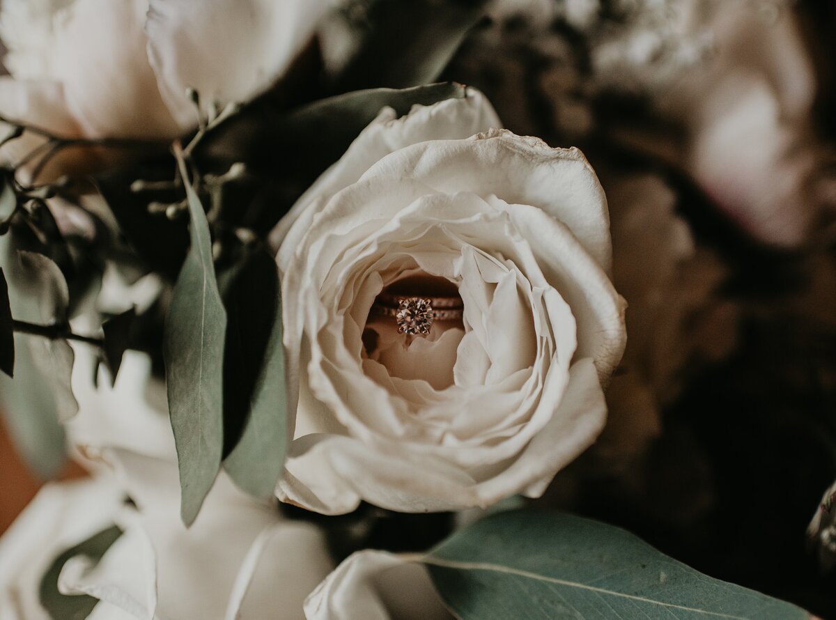 devon-divine-yilU0LaKkmQ-unsplash