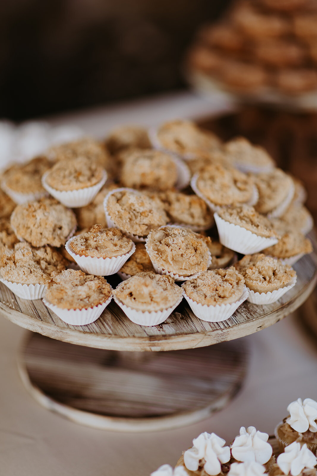 indian-wedding-lakefalls-lodge-1016