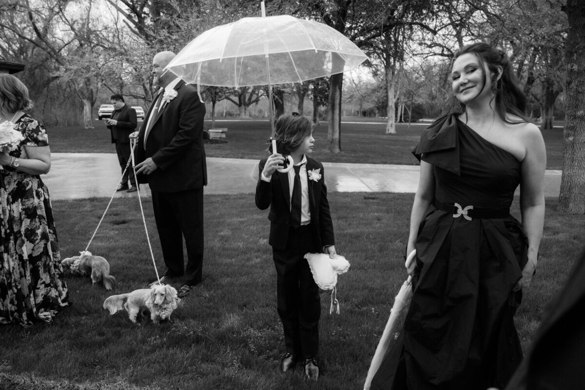 little-boy-holds-umbrella-in-the-grass