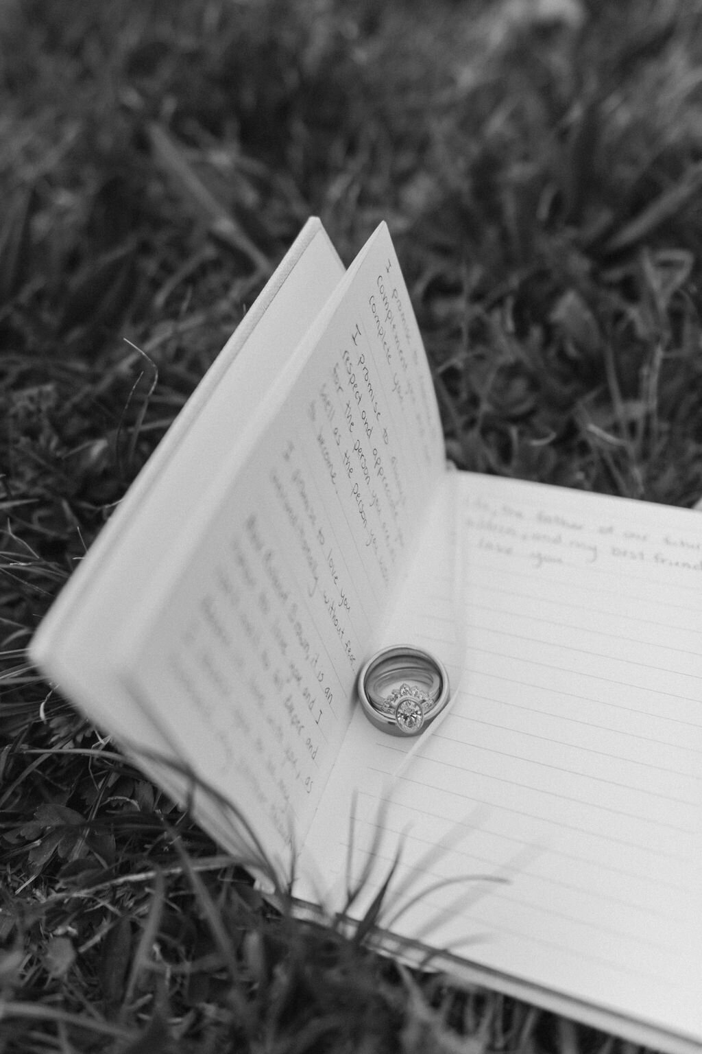 June2024.DanielleandAlex.AubreyBethPhotography-479