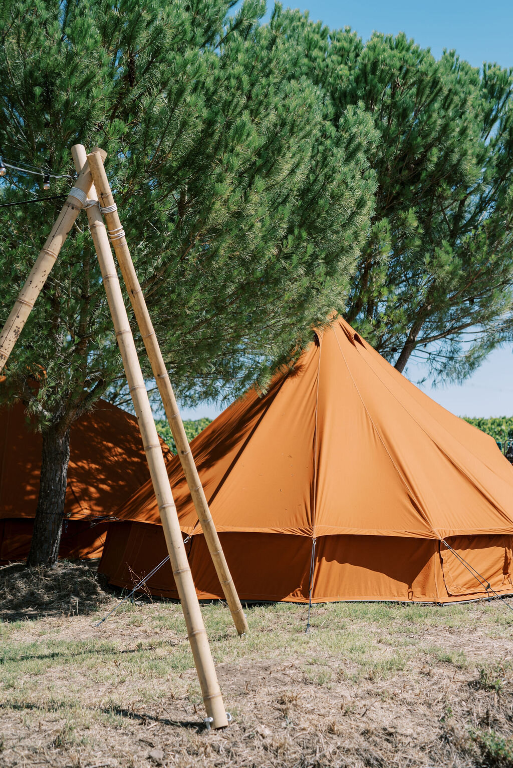 Fiestival_Day1©RuiVazFranco-22