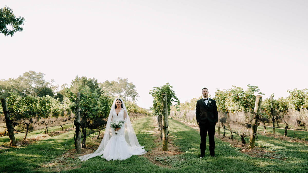 vineyardsataquebogue-5