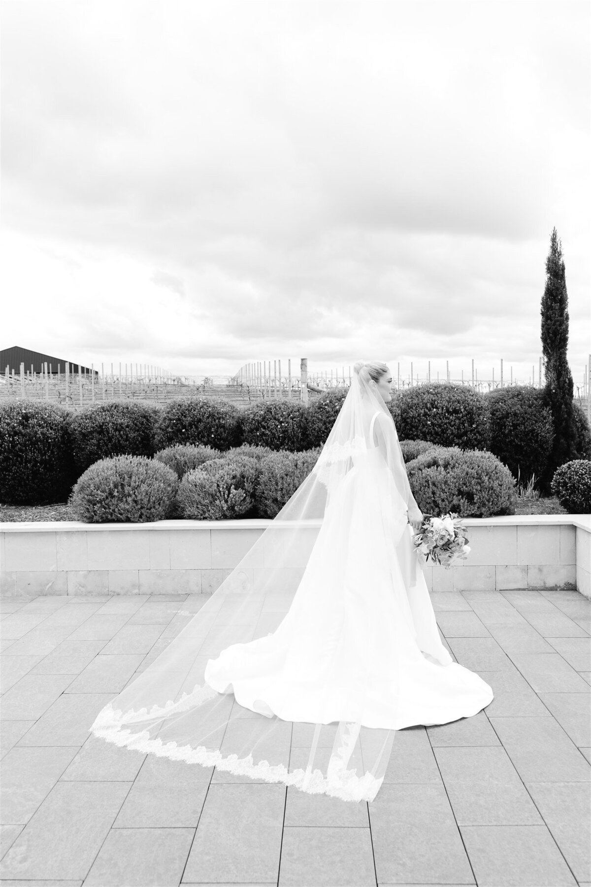 Five Vineyard Wedding_58