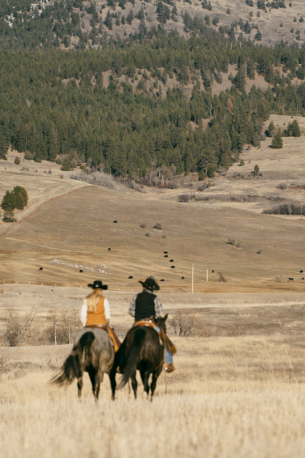 presley-gray-photo-montana-western-ranch-couples-photoshoot-1682