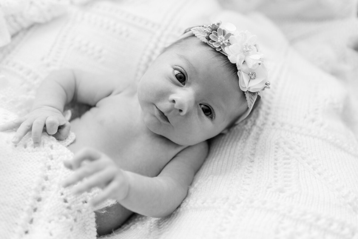 hampton roads virginia in home newborn family session photographer