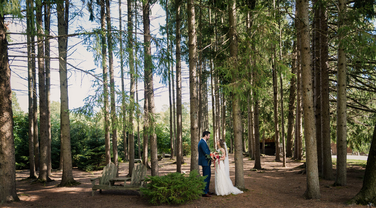 CHATFIELD-HOLLOW-WEDDING-CT-CARLA-TEN-EYCK--10