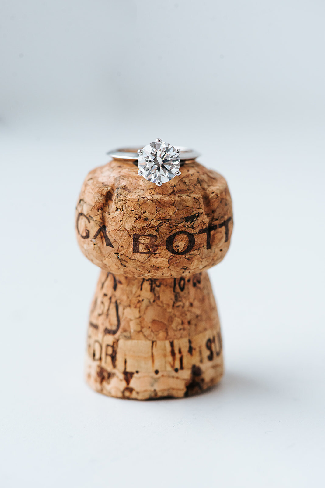 WhistleBearWedding_007