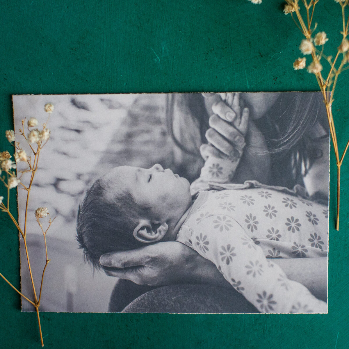 colorado springs family birth photographer home prints11