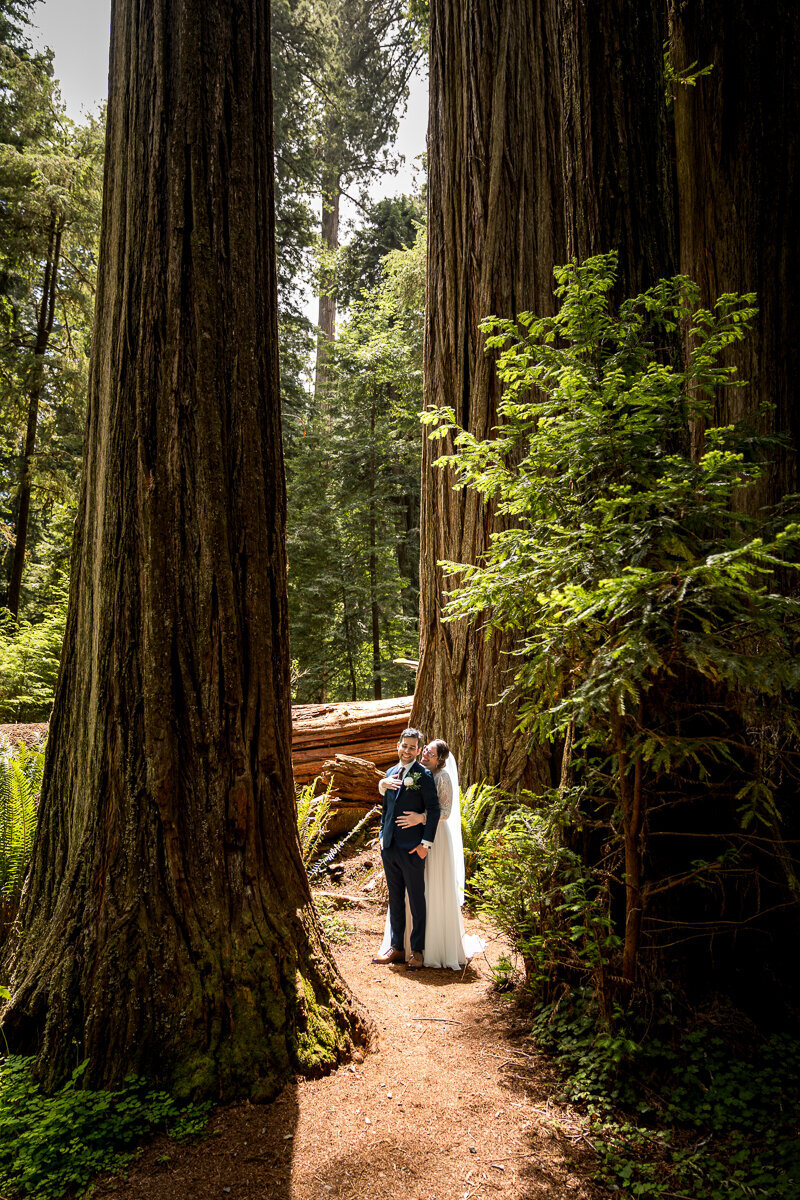 Stunning portraits of a bride and groom surrounded by the towering redwoods of Jedediah Smith Redwoods State Park. A perfect blend of natural beauty and heartfelt romance.