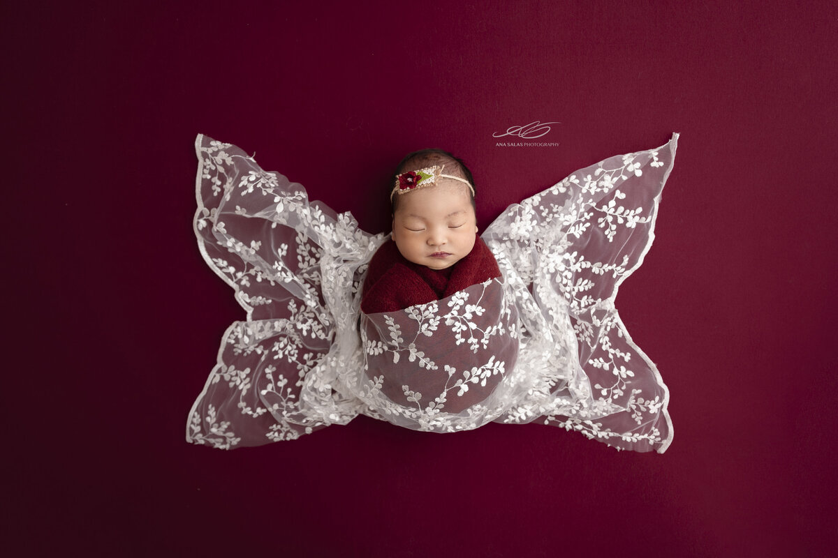 Edmonton Newborn Photography white cloth butterfly red backdrop