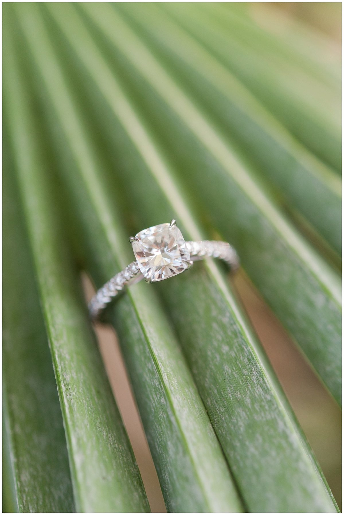 Melbourne Beach Florida Engagement Session Photos_0018