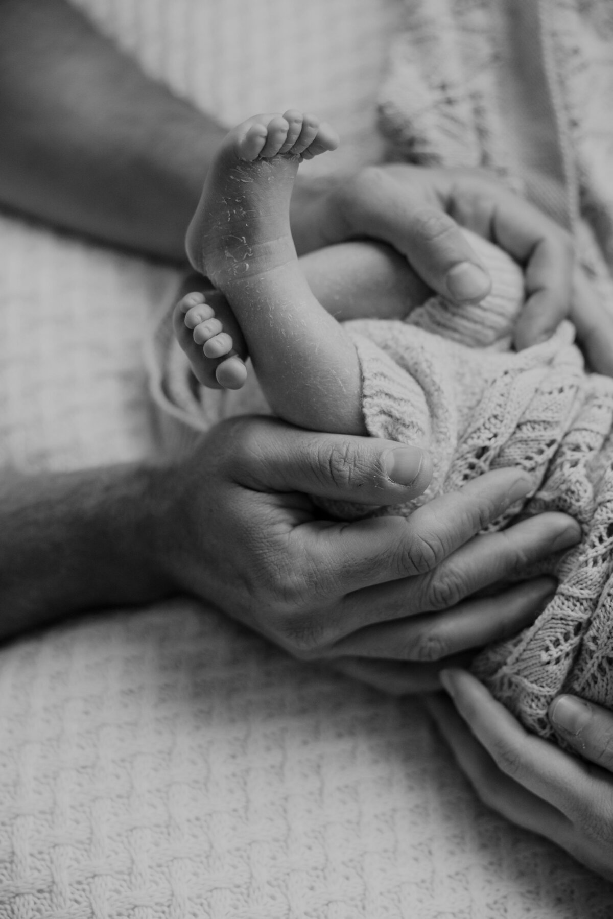 lauren-gray-sydney-newborn-photographer-240502-0055