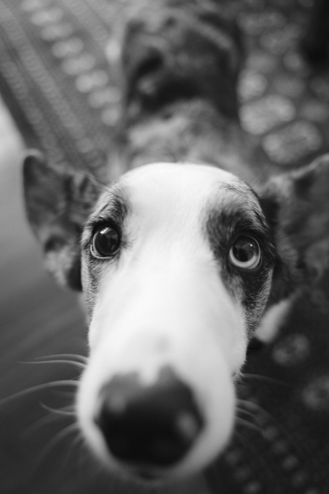 Alannah Liddell Photography — photo 2 of 18