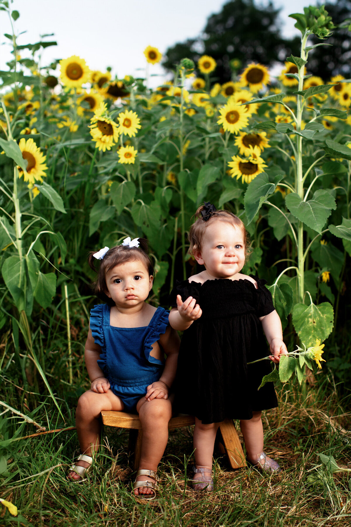 Farmington AR maternity photographer, family photography Farmington AR, newborn photos Farmington AR, baby milestone sessions Farmington Arkansas