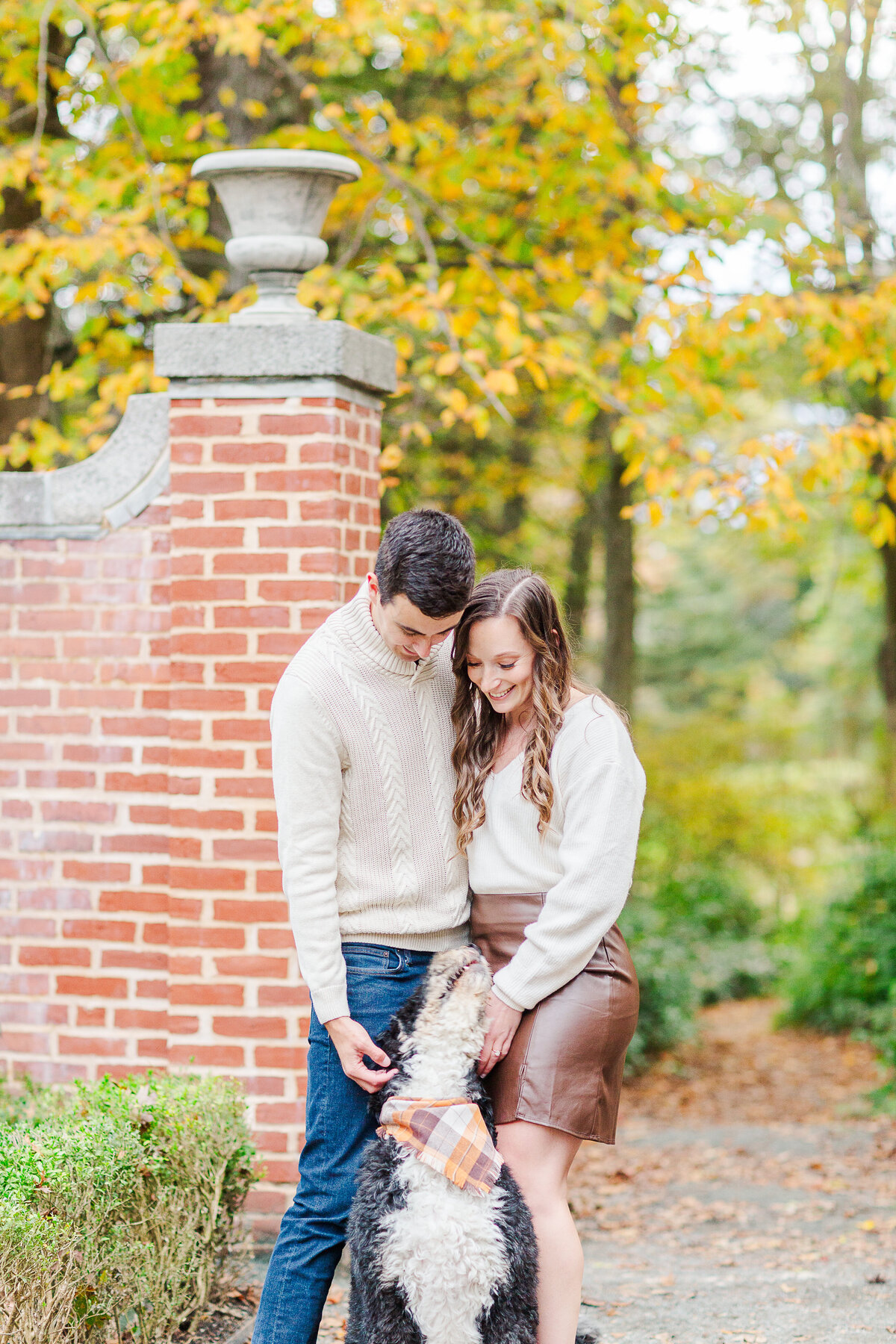 Sneak Peeks-6