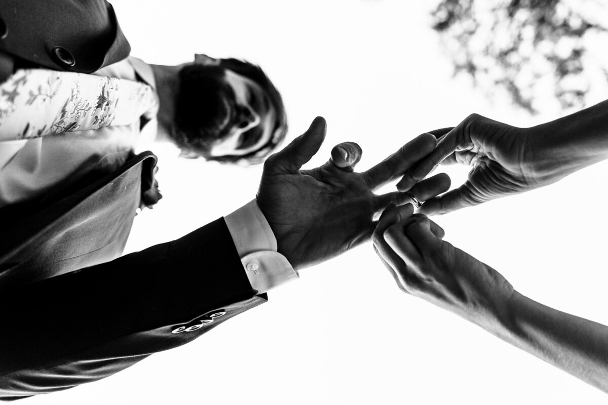tommy-jelena-elopement-wedding-photos_1399