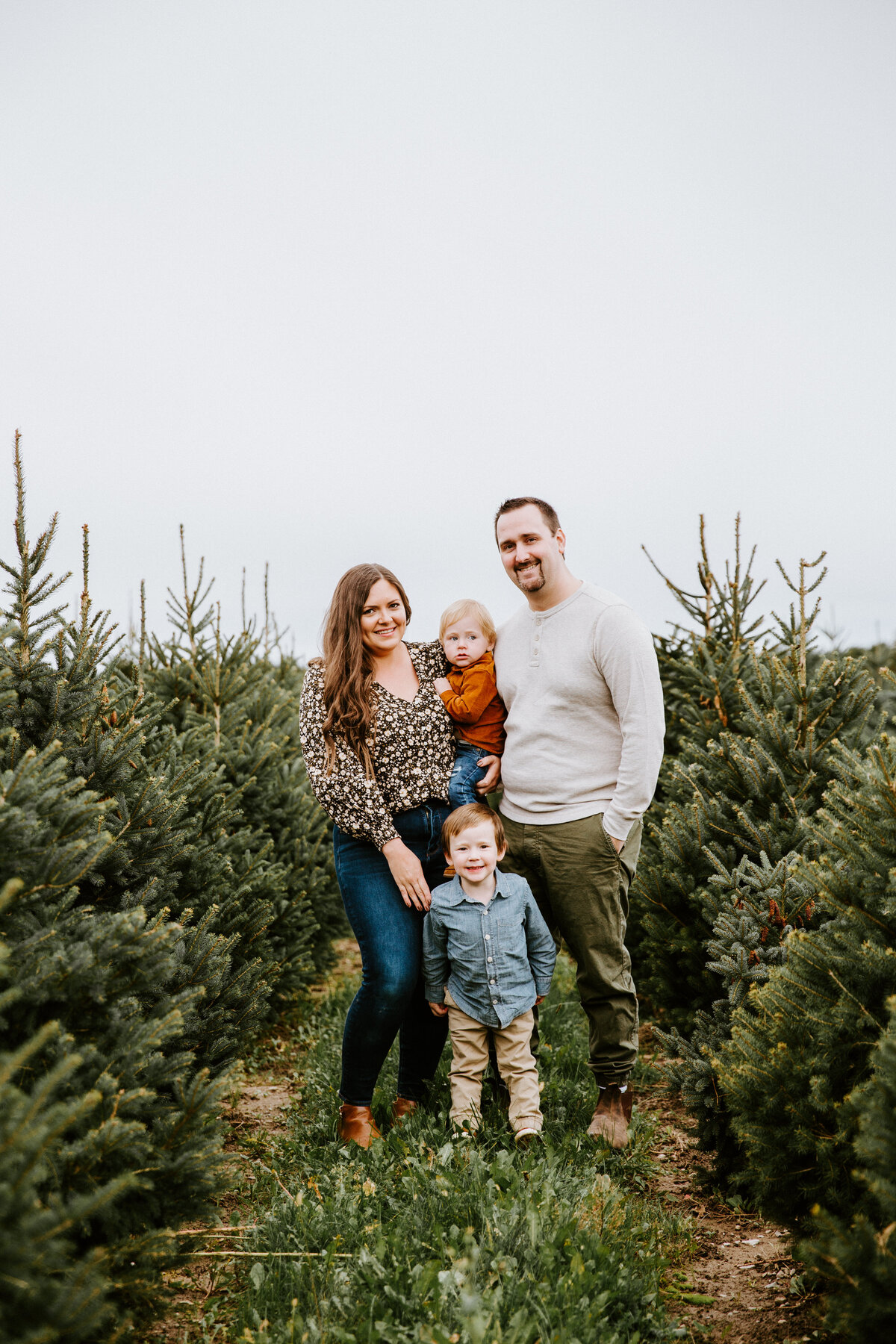 Best family Christmas tree farm photos at Tree Lane Farms in London, Ontario. Mom, Dad, toddler, and infant are standing between the rows of Christmas trees. Mom is holding the baby between her and dad and the toddler is standing between them. Everyone is smiling at the camera.