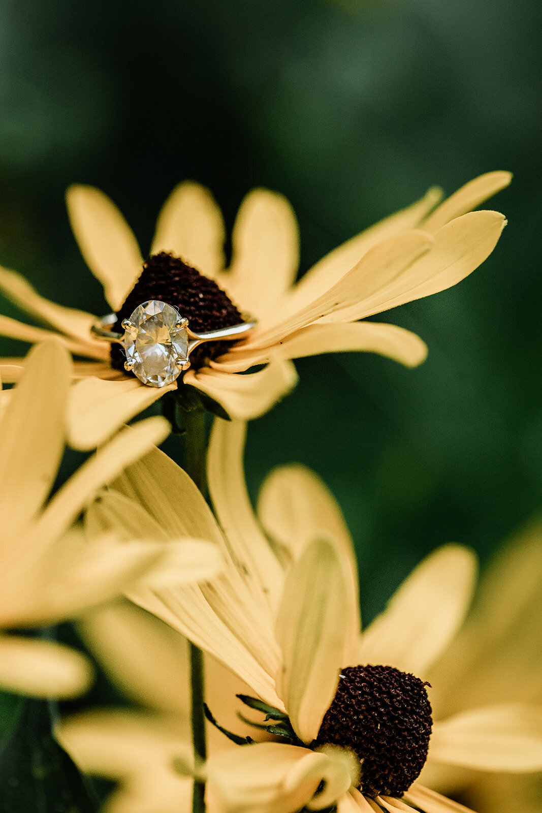 Rebecca and Andrew Engagement-291_websize
