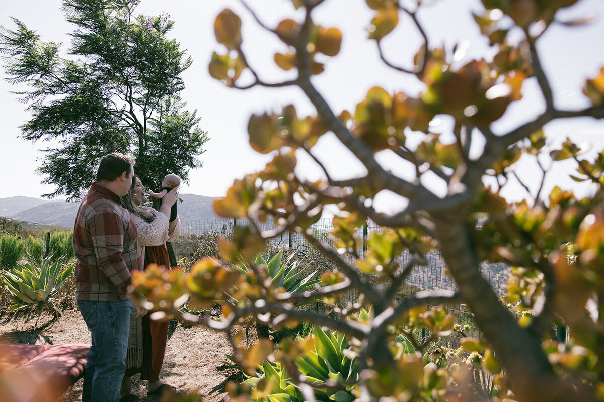 San Diego family admires their newborn in the sunlight. 
