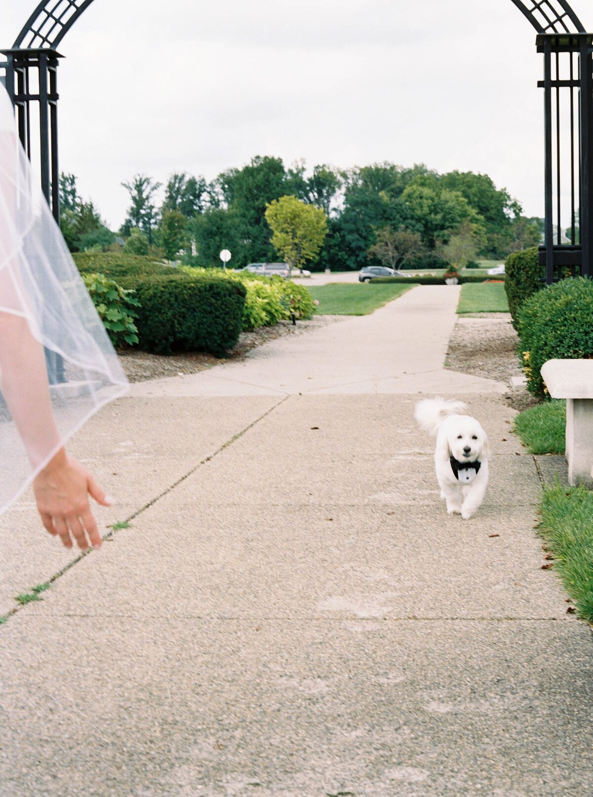 Stierwalt Wedding Aubrey Lynn Photography-355