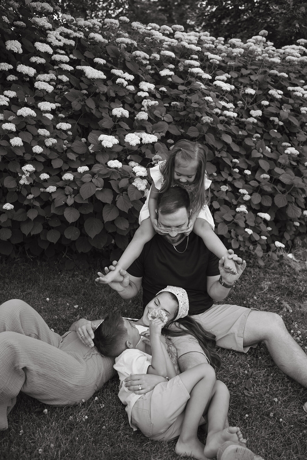 family135_websize