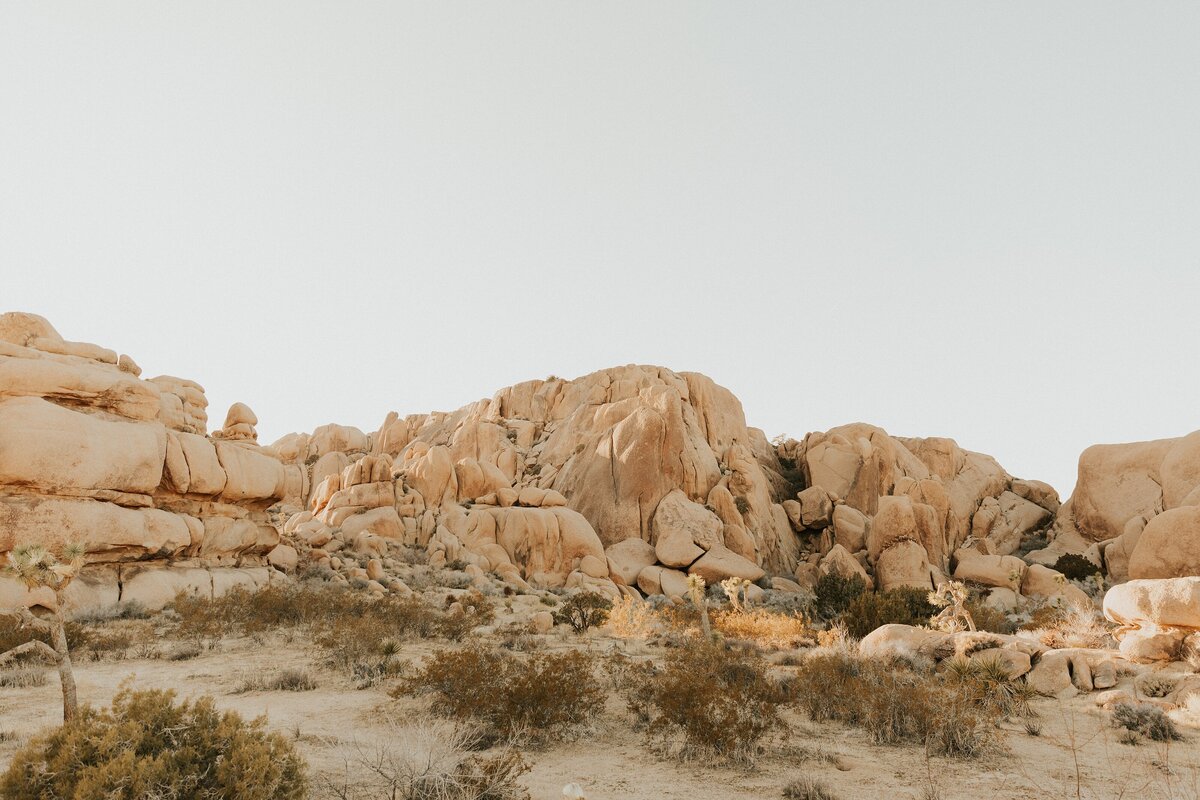 Joshua-Tree-Elopement-2