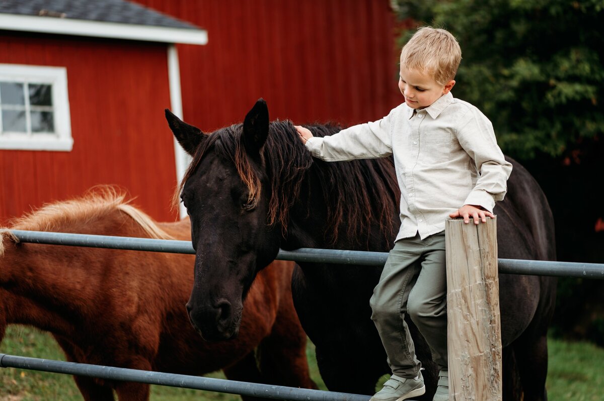 Child petting horse McKennaPattersonPhotography