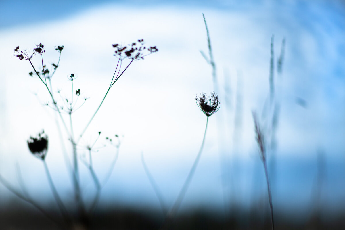 fine_art_photographer _011
