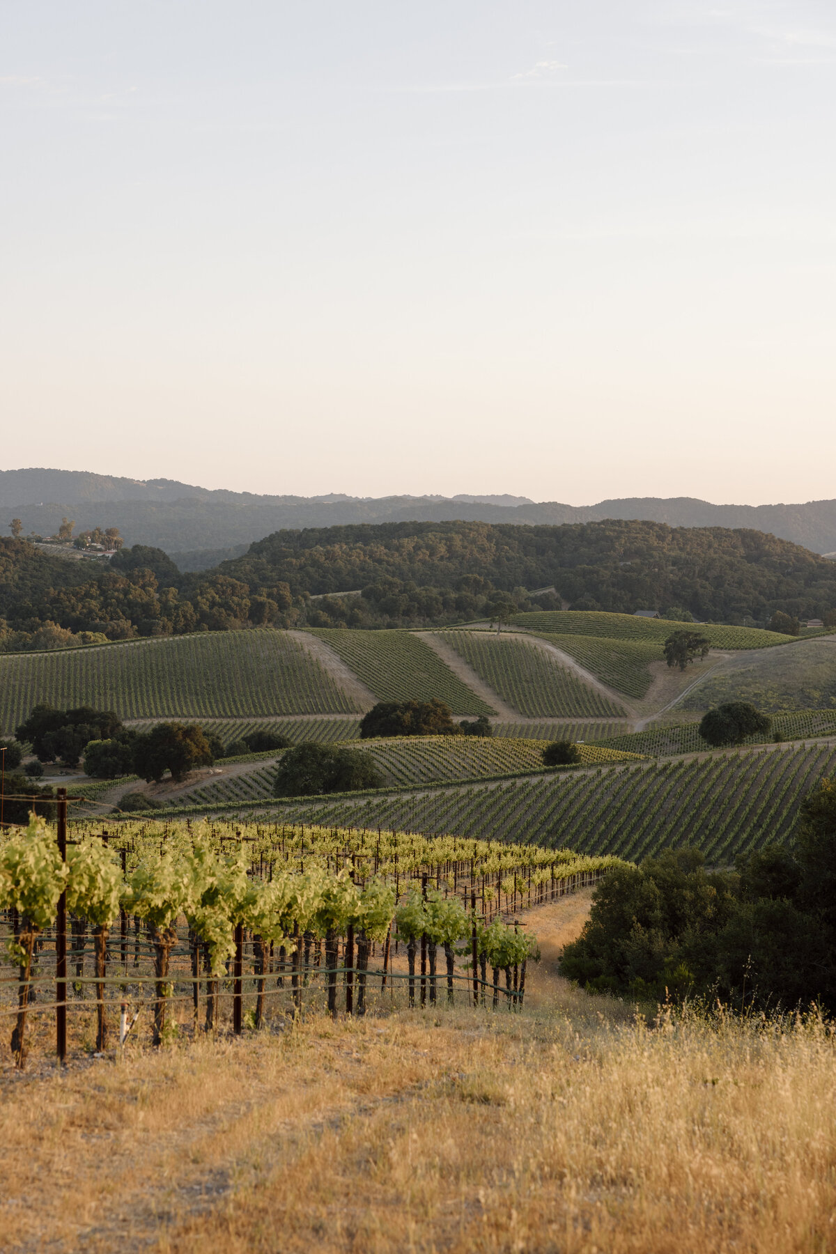 Paso Robles Wedding Photographer-74