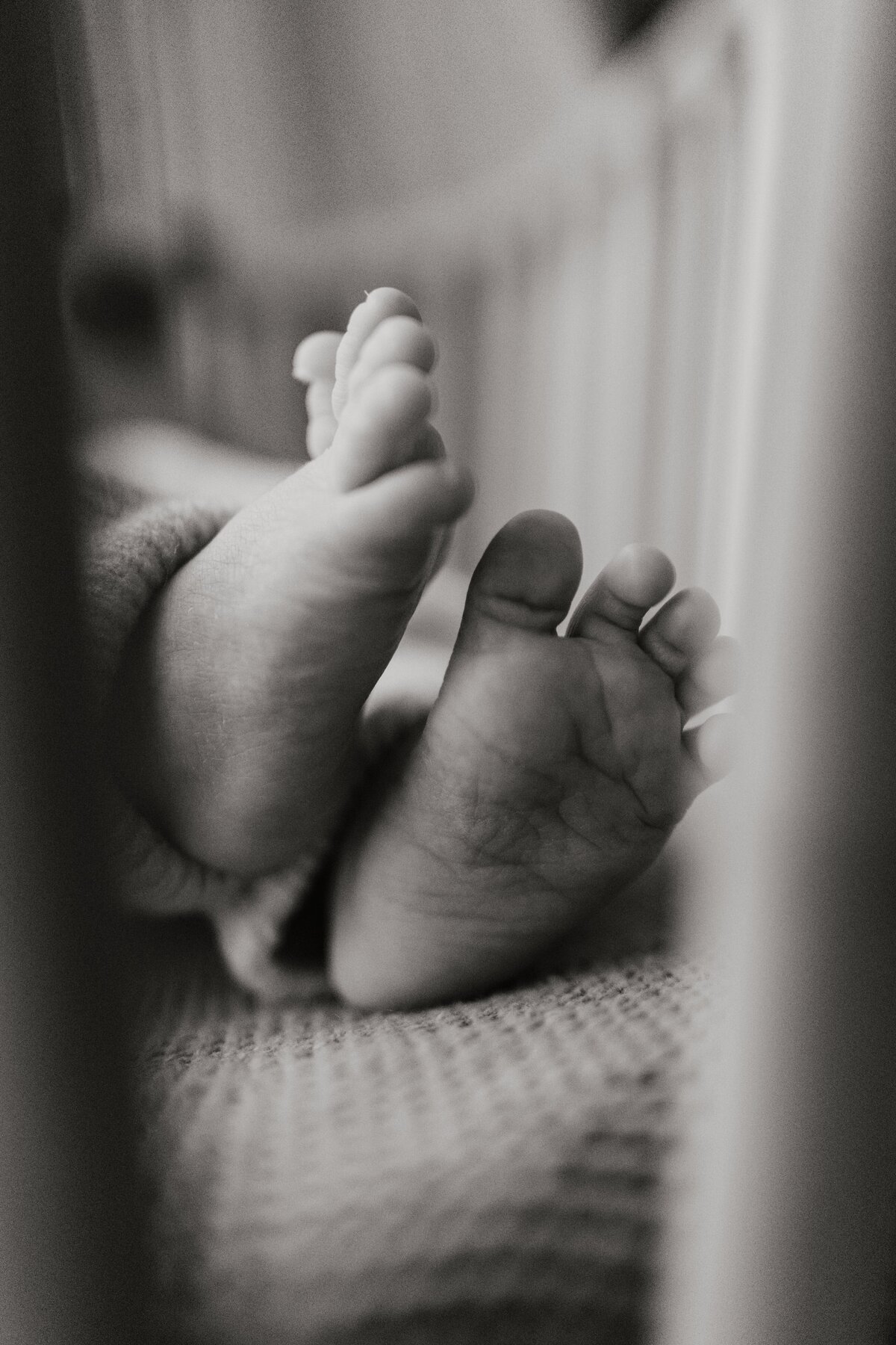 Celinetruijenphotography44