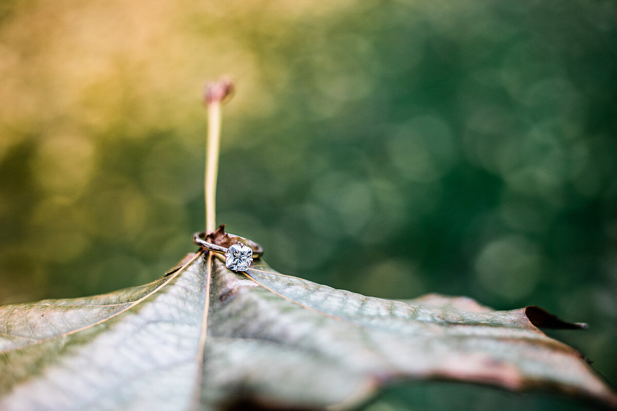 EngagementPhotos_-75_websize