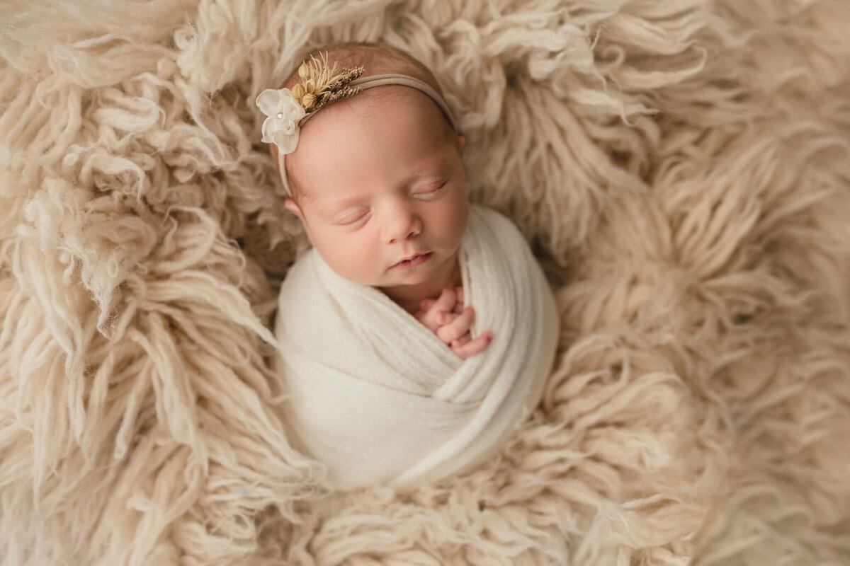 baby girl wrapped in white and placed on a fluffy shag rug, posed newborn photography, Hamilton, ON