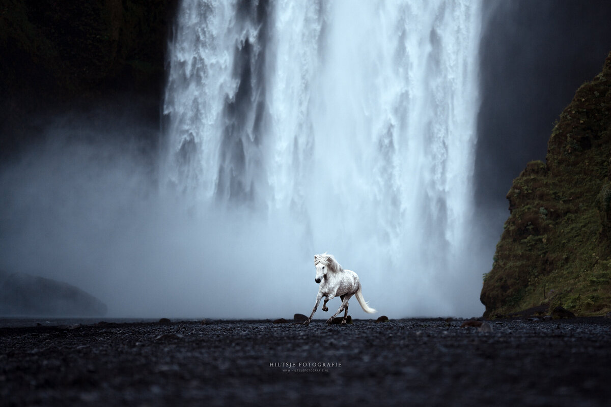 20220718-Hiltsjefotografie_Skogafoss_1752_WEB