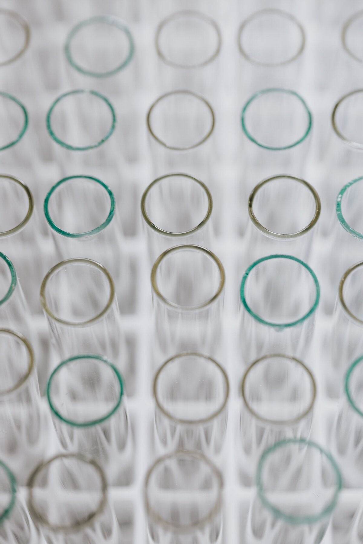 The lab test guide