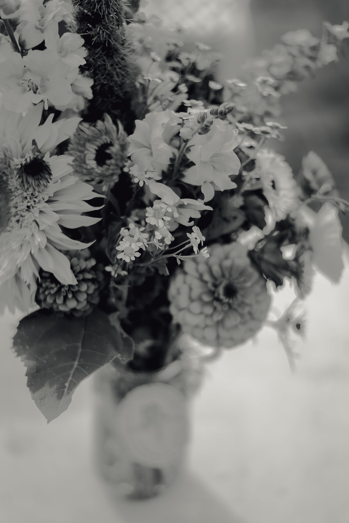 BearLakeBlooms_MCZPhotography-126