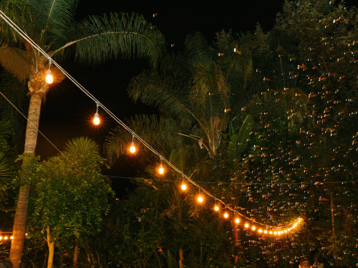 String lights illuminate a nighttime tropical scene, creating a warm and festive atmosphere.