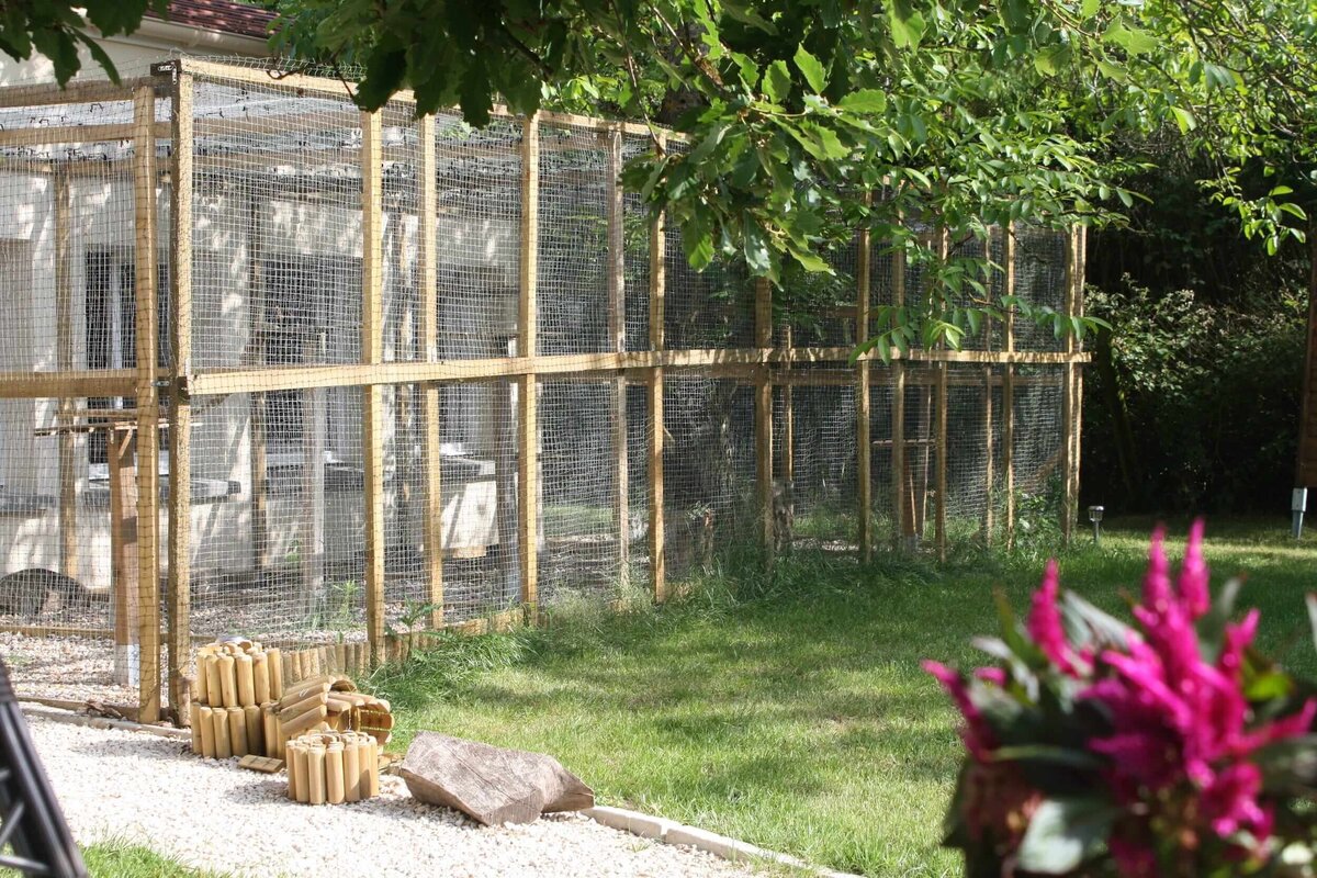 Vue extérieure des jardinets privatifs de la pension pour chats pet's home