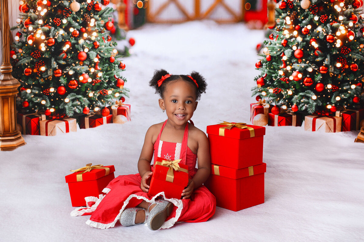 houstonchristmasminis (10)