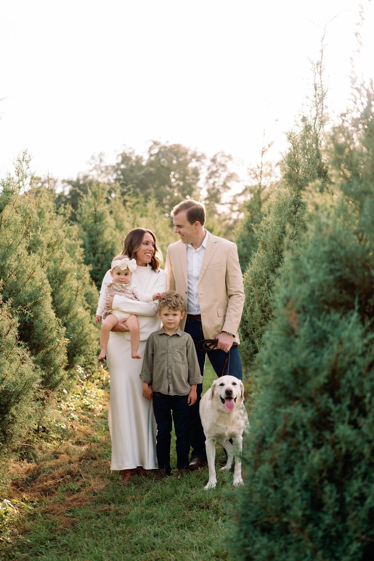 Christmas Minis | Alexi Lee Photography-121